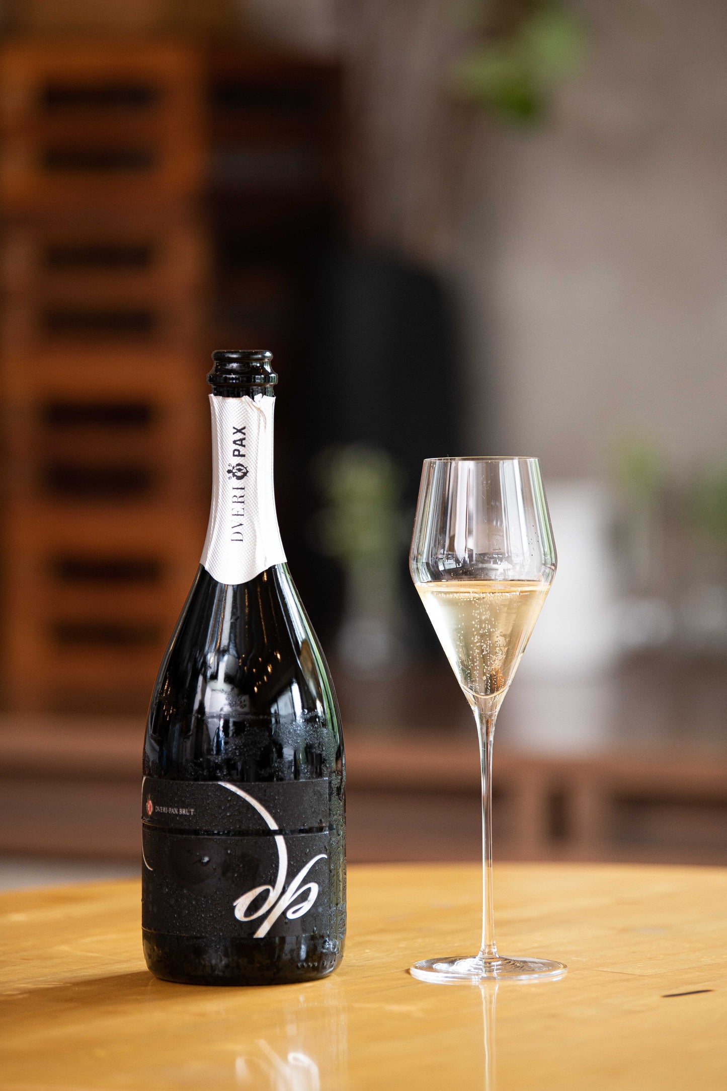 DVERI PAX DP BRUT2016