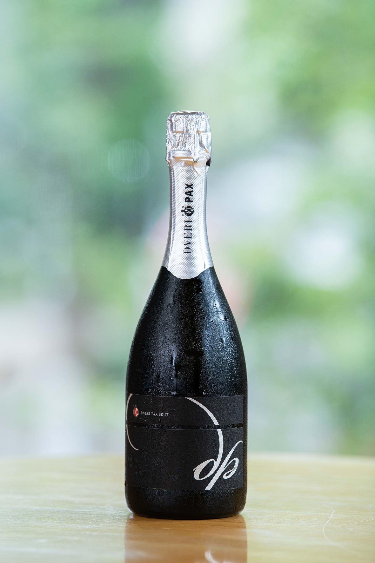 DVERI PAX DP BRUT2016